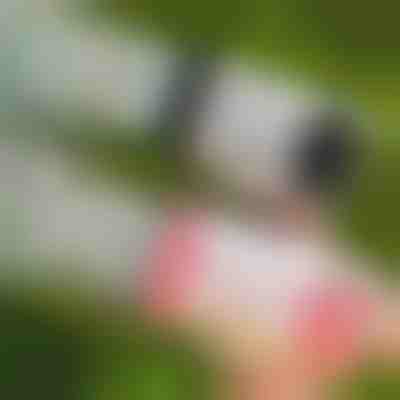 69-дупков LED пистолет за сапунени мехури | BUBBLEPUFF