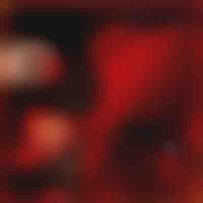 Подаръкът, който говори за любов | LOVEBEAR