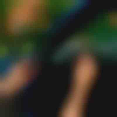 Уплътнителна лента за врата на автомобил (5м) | EVOSEAL