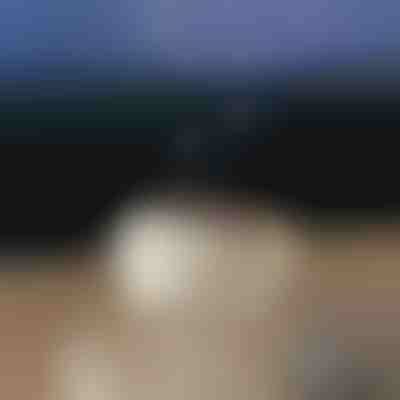 Успокояващ ароматен дифузер | MEDUSAMIST