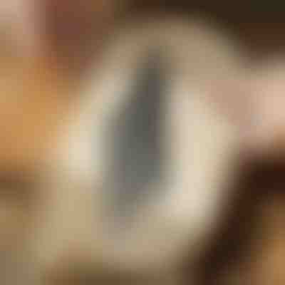 Ножове за прободен трион за рязане до ръба (5 бр.) | JIGSPRO