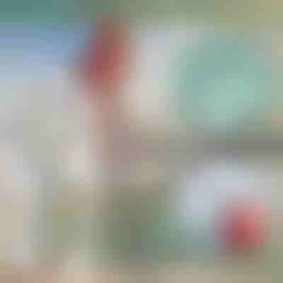 Телескопична метална кука за лодка | FASTDOCK